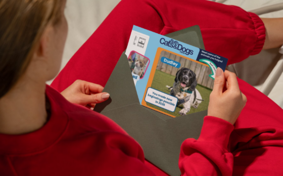 direct mail hybrid mail 2 (1)